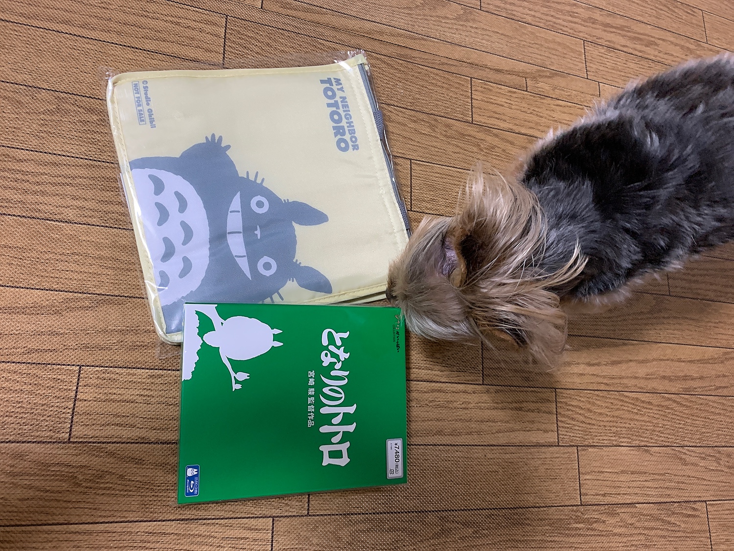 楽天市場 となりのトトロ Blu Ray 日高のり子 楽天ブックス みんなのレビュー 口コミ