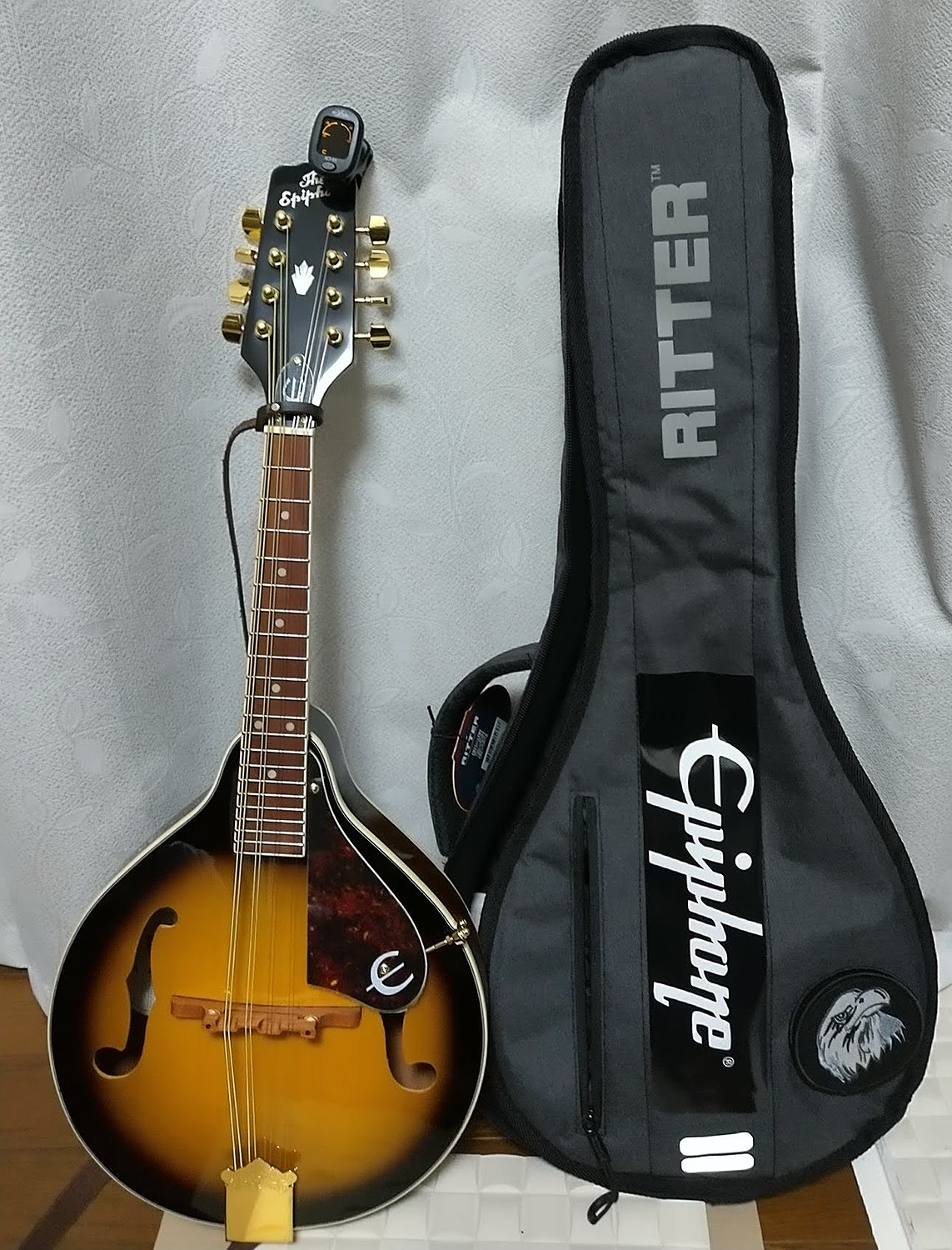 エピフォン、フラットマンドリン 楽天市場】Epiphone エピフォン マンドリン MM-30S フラット