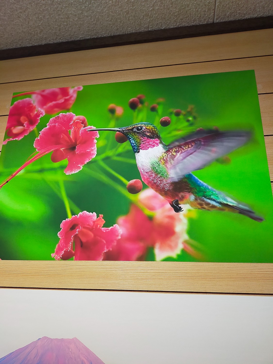 楽天市場】絵画風 壁紙ポスター (はがせるシール式) ハチドリと