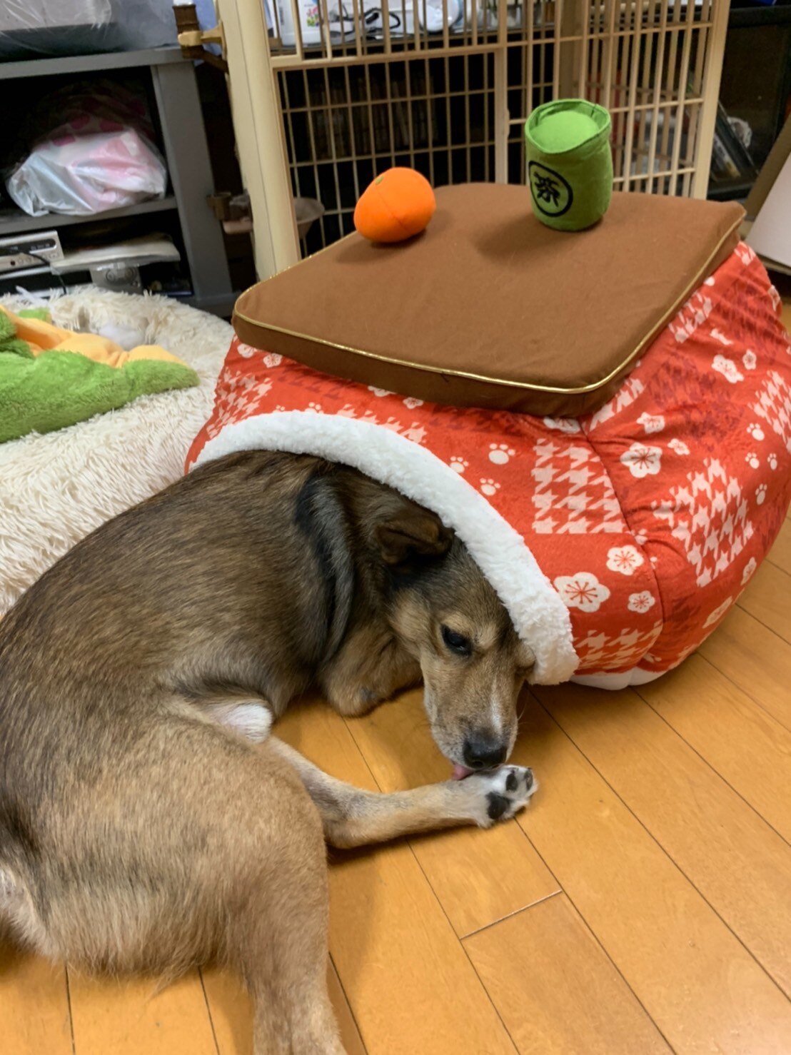楽天市場 犬 セール 犬 ハウス 犬 暖かい おしゃれ こたつハウス 50cm 千鳥格子柄 アウトレット Sale 返品交換不可 ドーム ベッド 猫 ハウス介護 おしゃれ かわいい ふわふわ 通年 秋 冬 クッション ソファ カドラー あごのせ ペットパラダイス みんなの