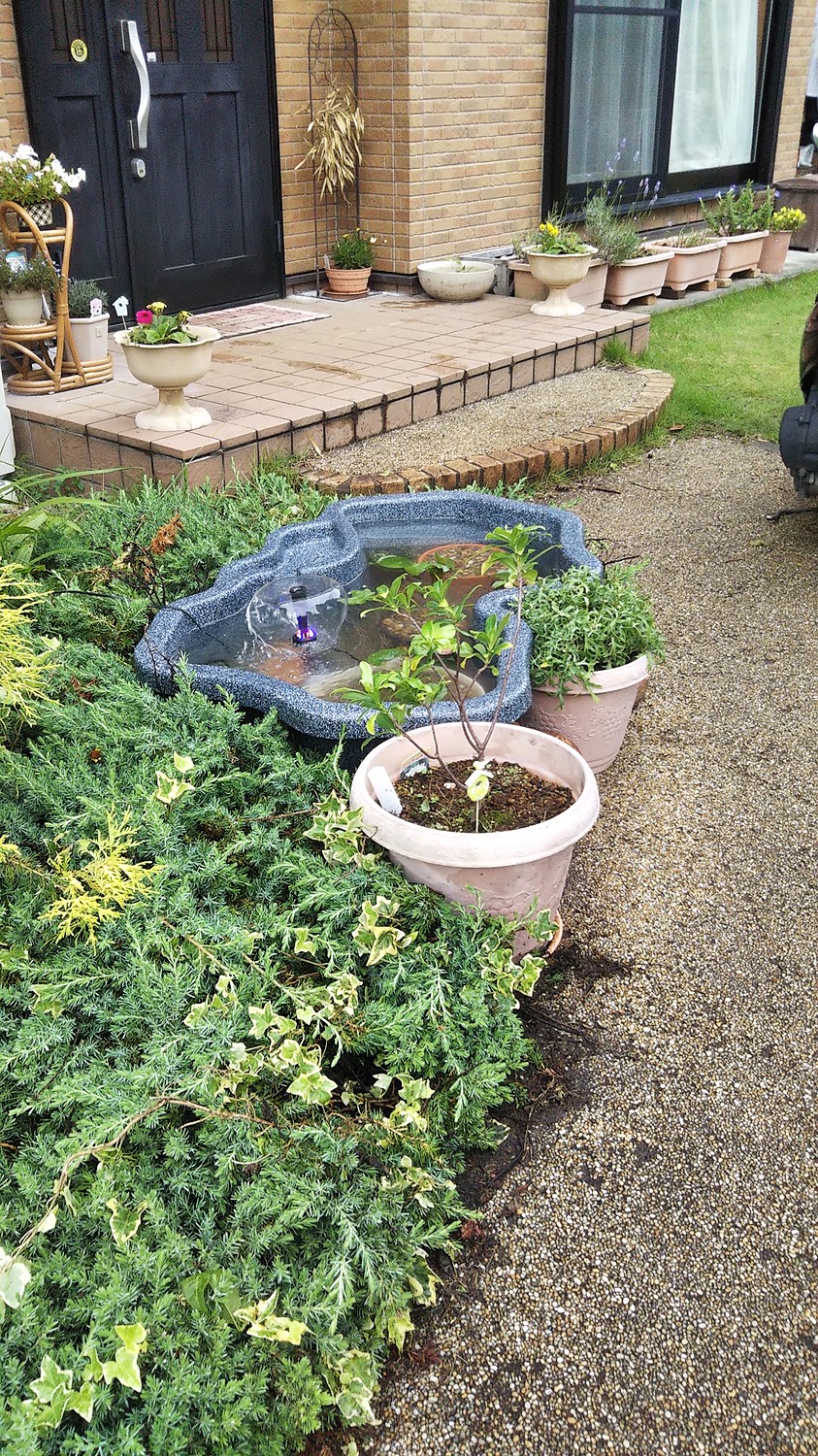 ゼンスイ なごみ池 M 30L (庭園埋め込みタイプ) - 庭、ガーデニング