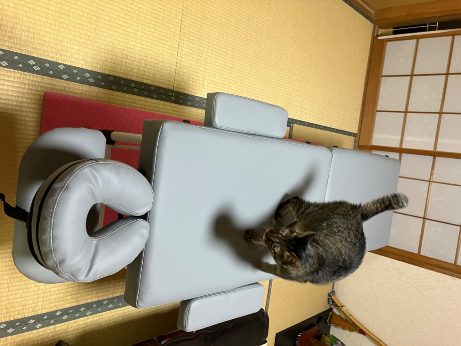 まちこさま専用 マッサージ用折り畳みベッド 楽天市場】まちこ♪♪さんさんの折りたたみ マッサージベッド