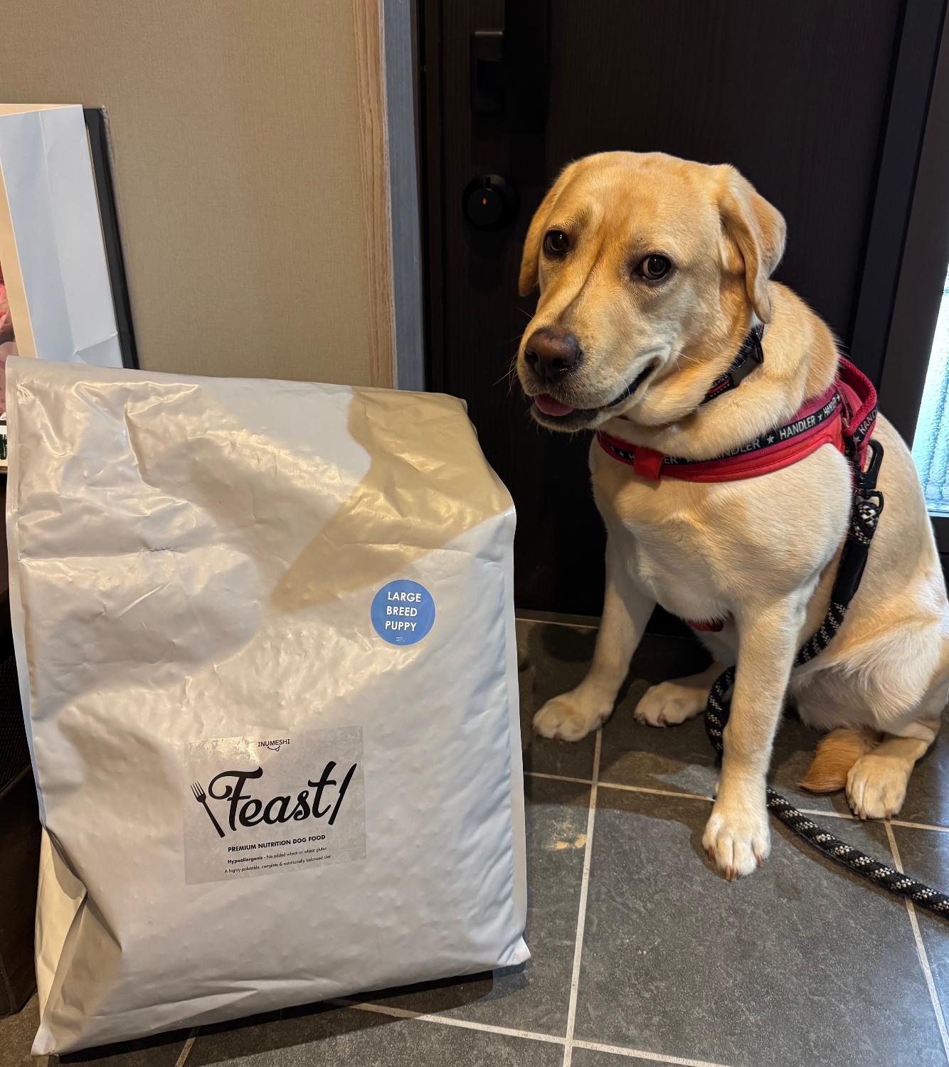 楽天市場】INUMESHI フィースト 子犬用 大型犬用 15kg ブリーダー 