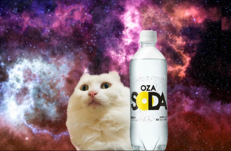 防*弾様 本日限定15万　1週間限定/激安価格:200,000円→ダーツライブ1 即日発送 コンバース 安全靴 ハイカット XLARGE 限定品 CONVERSE