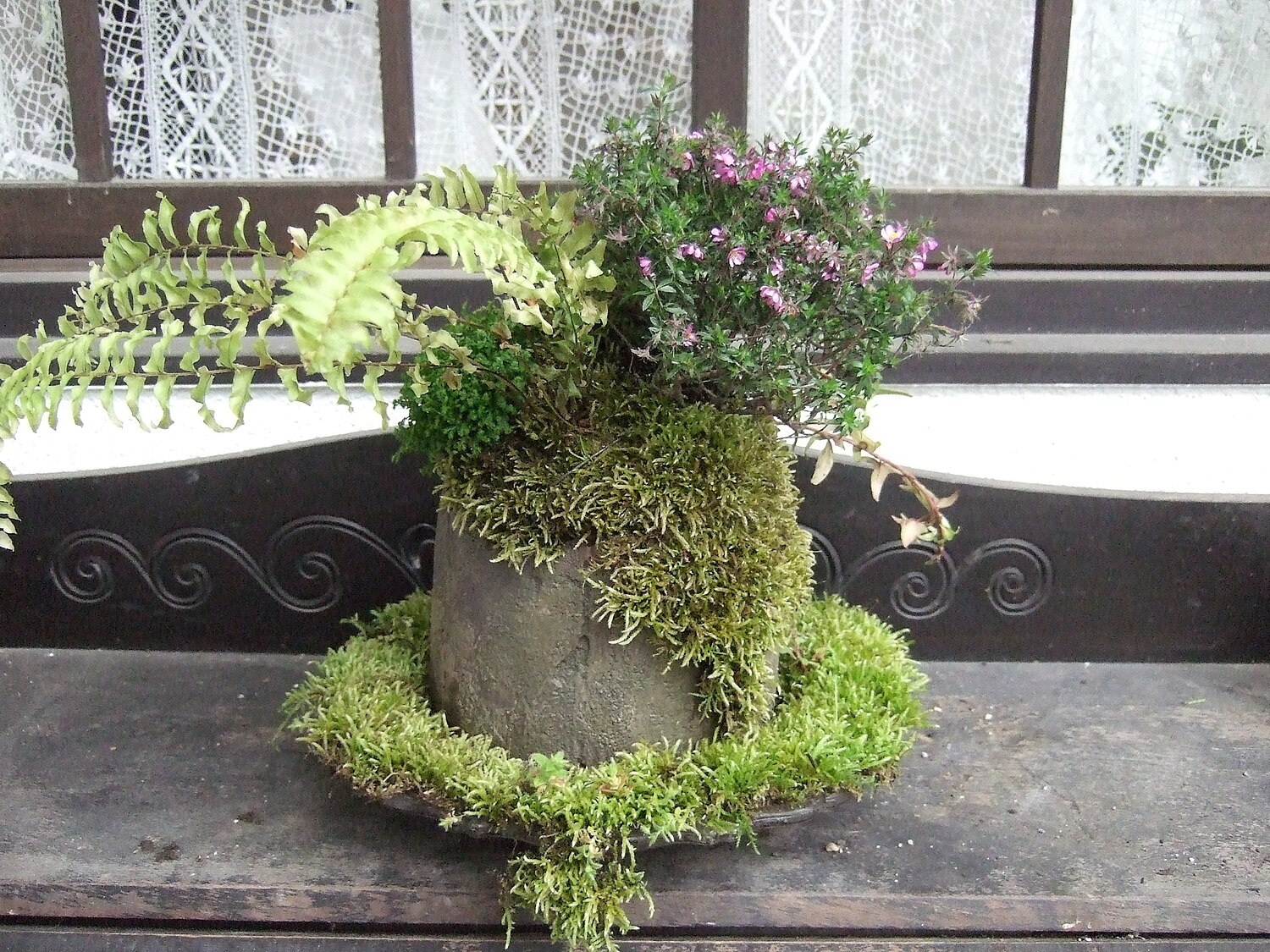 ロボット兵 プランターカバー 楽天市場】送料無料ジブリ プランターカバー 天空の城ラピュタ