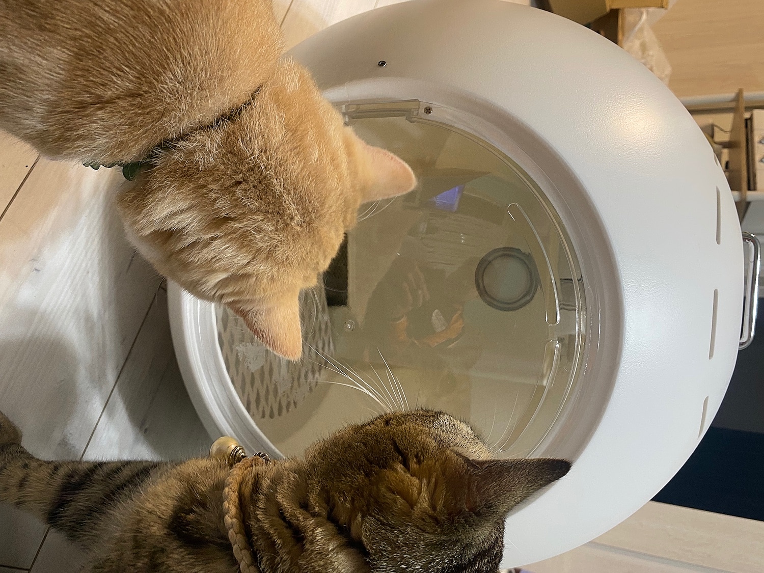 楽天市場】広域温度設定 送風 ペットドライヤー CW-020 ペット