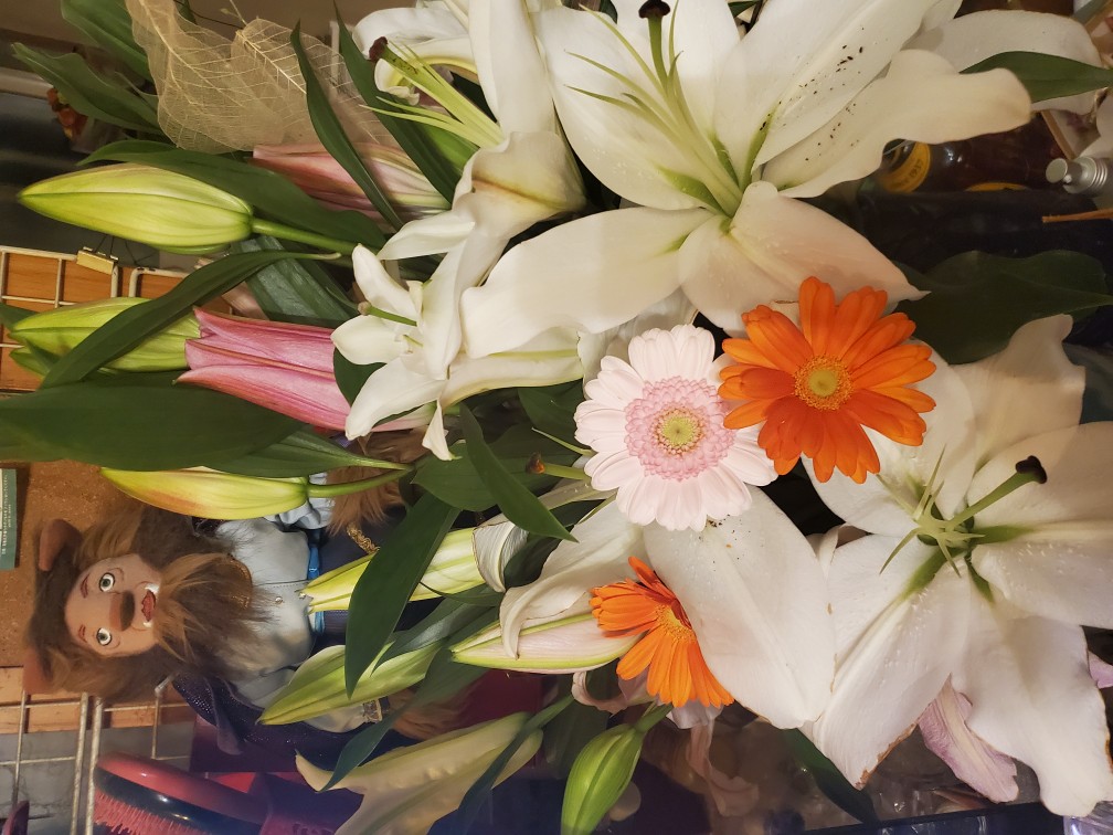 楽天市場】ガーベラ 5本 切花 生花 切り花 造花ではありません お色おまかせ(Hanaファクトリー) | みんなのレビュー・口コミ