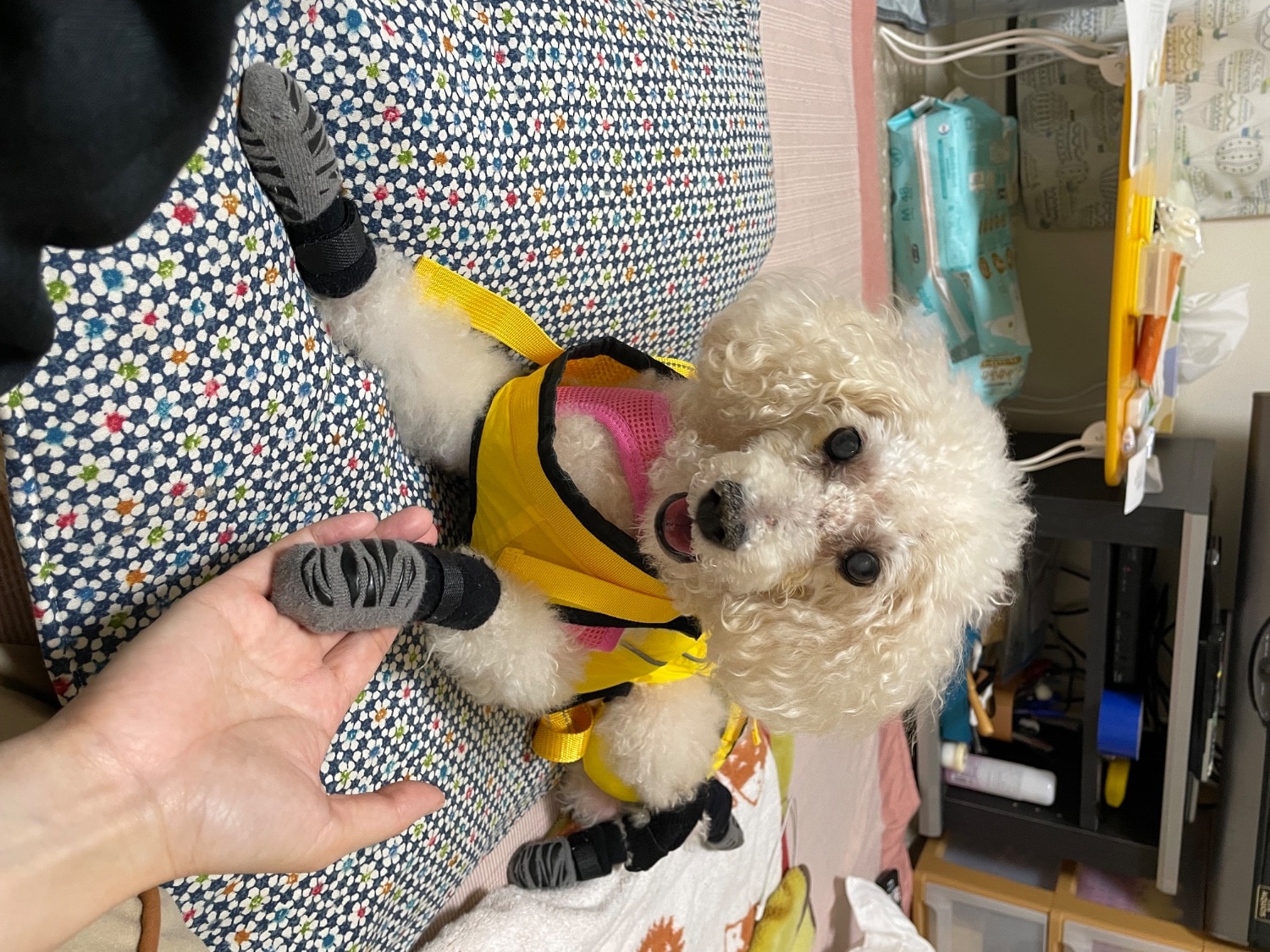 肩関節サポーター S/Mホールドショルダー　holdshoulder 肩脱臼 楽天市場】ホールドショルダー holdshoulder 肩脱臼 肩安定 固定