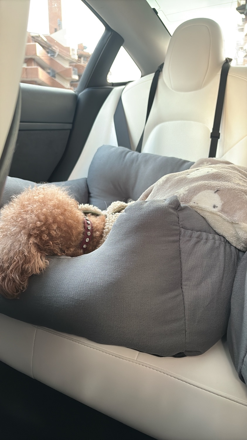 ドライブベッド ドライブボックス 小型犬 中型犬 犬 猫 かわいい Lサイズ ペット クッション ベッド ソファ カドラ ドライブベッド ドライブボックス 犬用ベッド レビュー画像7