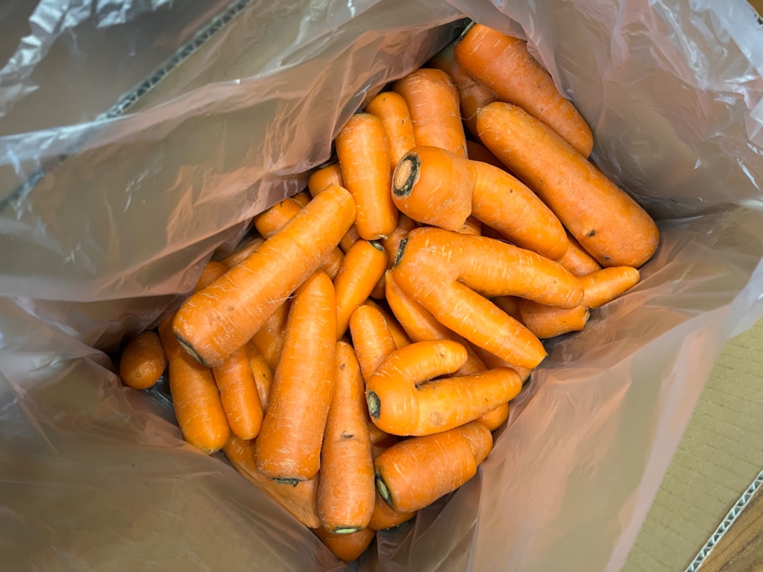 楽天市場】産地が選べる 無農薬にんじん 20キロ(10kg×2箱)【クール対応 