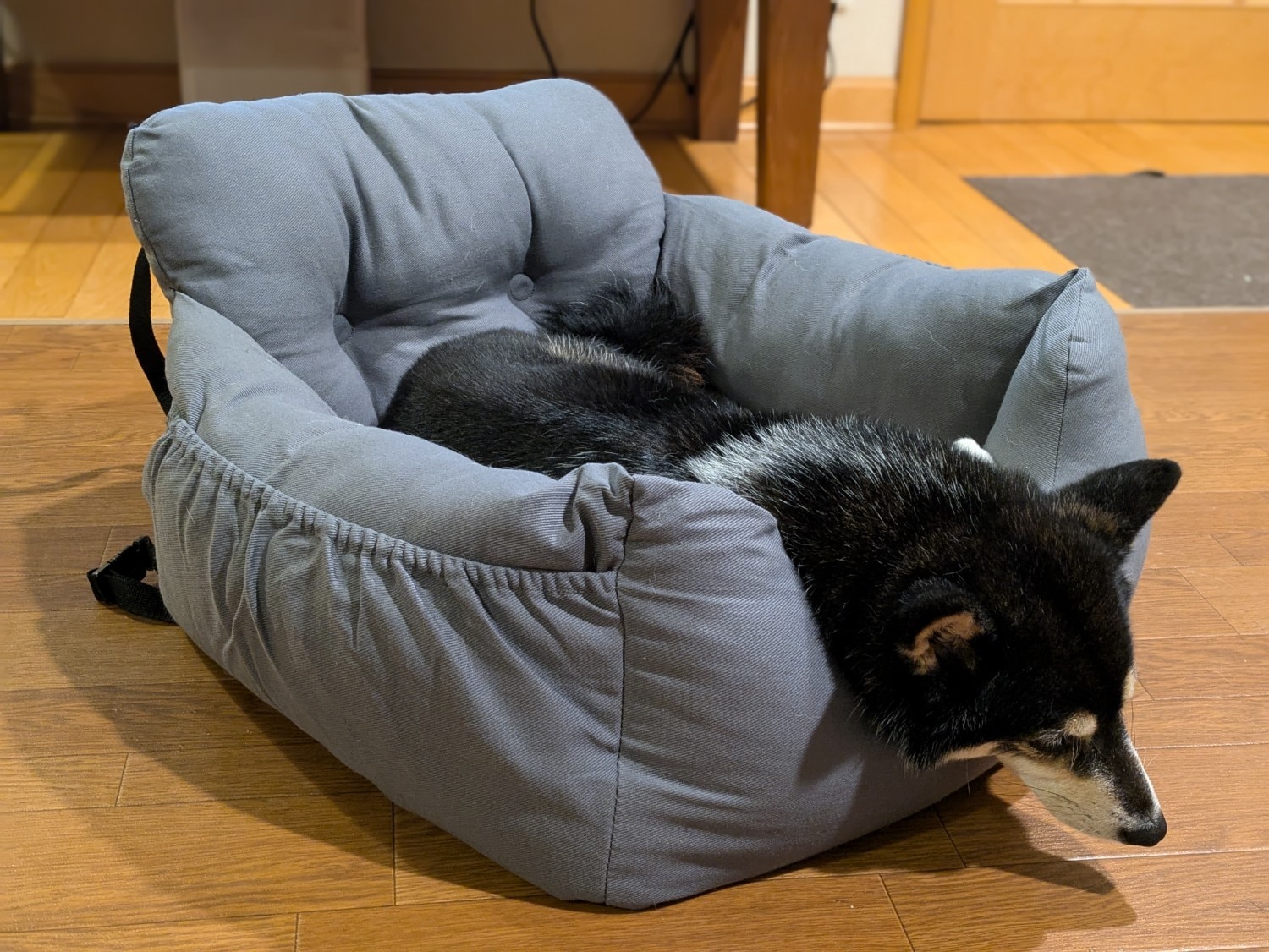 ドライブベッド ドライブボックス 小型犬 中型犬 犬 猫 かわいい Lサイズ ペット クッション ベッド ソファ カドラ ドライブベッド ドライブボックス 犬用ベッド レビュー画像14