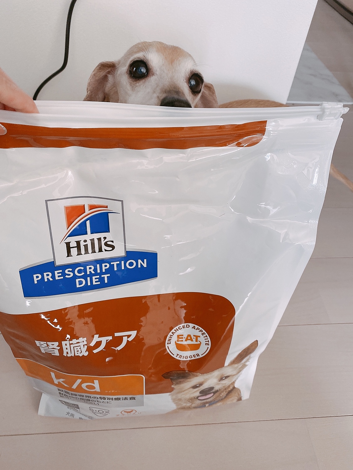 犬用 療法食 ヒルズ k d 3kg チキン 腎臓ケア 食事療法 犬