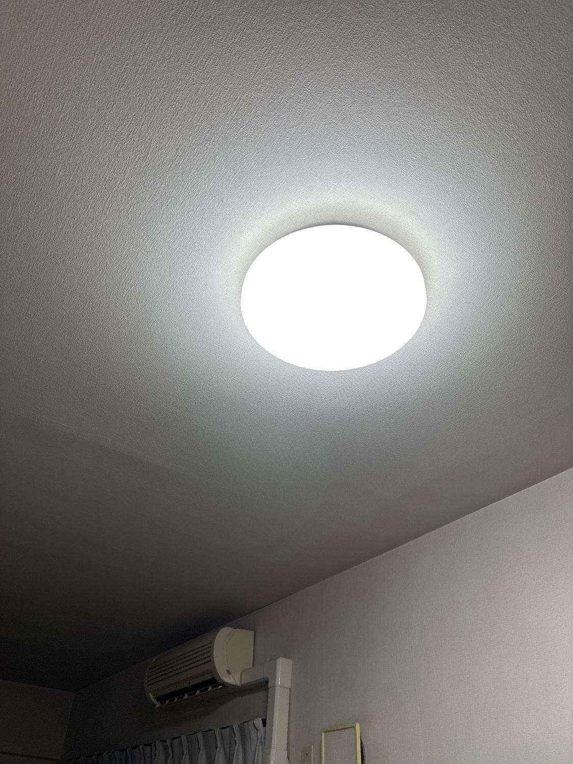 購入者レビュー写真