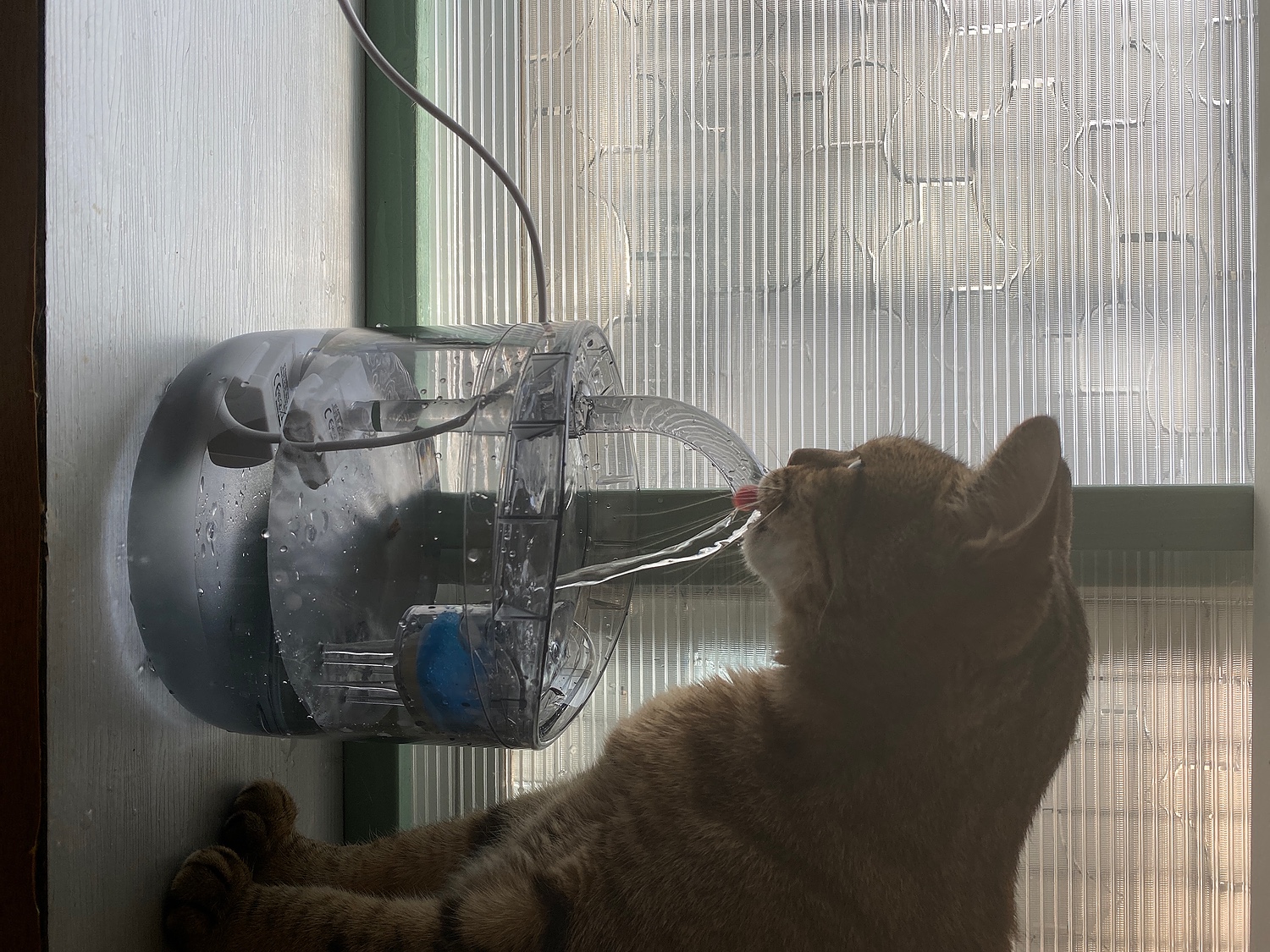 ペット用 自動給水器 (3L 大容量)猫 ＆ 犬 活性炭フィルター付き