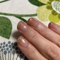 ֡ڸPro Glossy Top GelPC-GT-001A ohora gelnails nail ۡ ͥ ͥ ͥ륷 եͥ ͥ륹ƥå ͥ ͥǥ ͥ륷 ͥ륹ƥå ͥ륪 ͥѡ ͥå 顼פξʥӥ塼ܺ٤򸫤