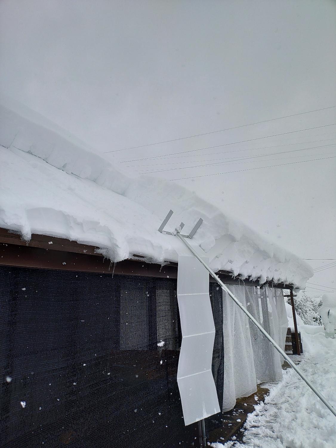 楽天市場】らくらく雪すべーる 全長6.0m 除雪用具 屋根 雪下ろし 道具