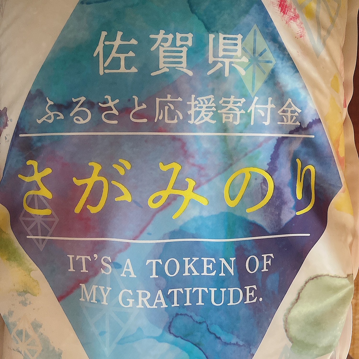 ふるさと納税 唐津市 粉雪サラミ×10本 白カビの力で1か月熟成させた生