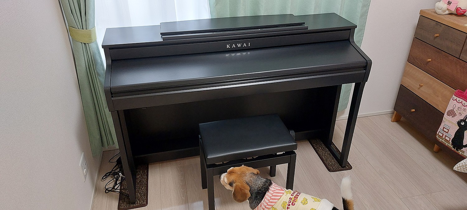 楽天市場】KAWAI SCA401 MB モダンブラック 電子ピアノ 88鍵盤