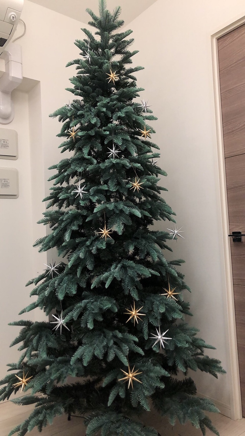 楽天市場 圧倒的高評価店舗レビュー4 92点 大型 クリスマスツリー スリム 210cm 単品 おしゃれ 北欧 大きい ヨーロピアンブルースプルース ツリー もみの木 クリスマス木 Nakajo S Christmas みんなのレビュー 口コミ 楽天市場 圧倒的高評価店舗レビュー4 92点 大型 クリスマスツリー スリム 210cm 単品 おしゃれ 北欧 大きい ヨーロピアンブルースプルース ツリー もみの木 クリスマス木 Nakajo S Christmas みんなのレビュー 口コミ