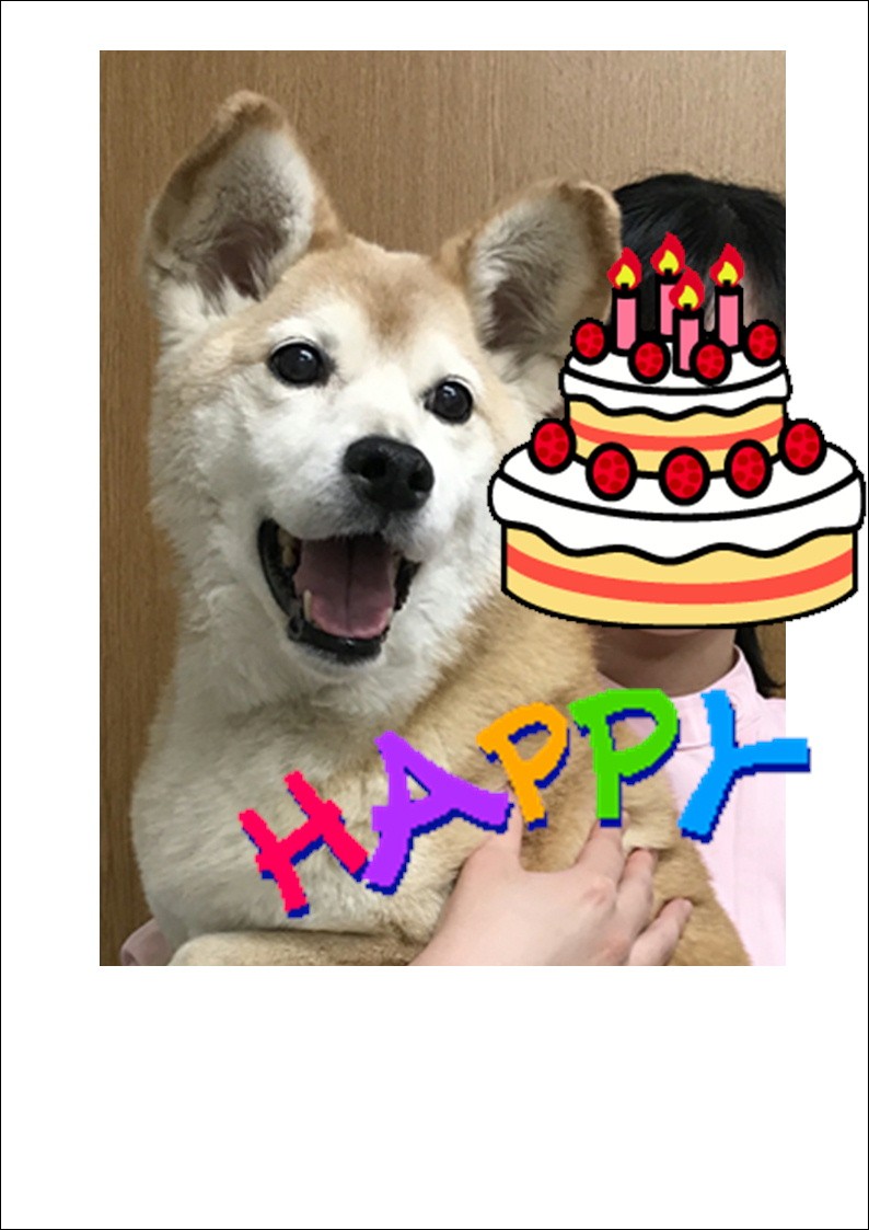 楽天市場 ワンコケーキ フルーツデコレーションケーキ S 犬用ケーキ 犬ケーキ 誕生日 アトリエ ワフ みんなのレビュー 口コミ