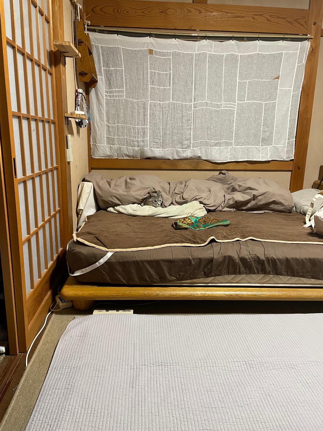 イブルラグ イブルマット 洗えるラグ レビュー画像3