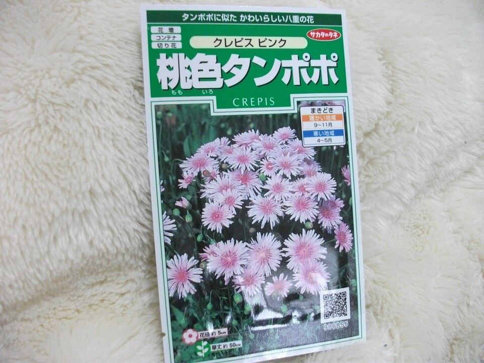 楽天市場 タンポポに似た可愛い花 種子 桃色タンポポ クレピス ピンクサカタのタネ Ivy みんなのレビュー 口コミ