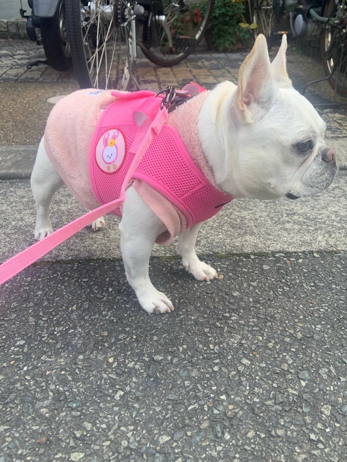 購入者レビュー写真