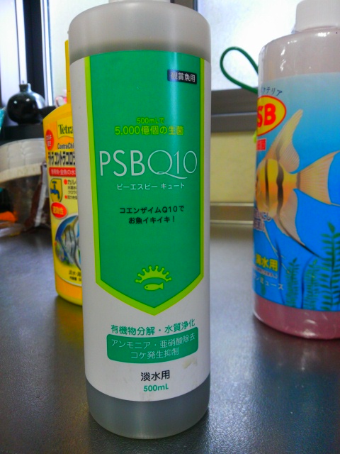 楽天市場】PSBQ10 ピーエスビーキュート 淡水用 500mL メダカ 金魚 熱帯魚 光合成細菌 バクテリア 関東当日便(charm 楽天市場店)  | みんなのレビュー・口コミ