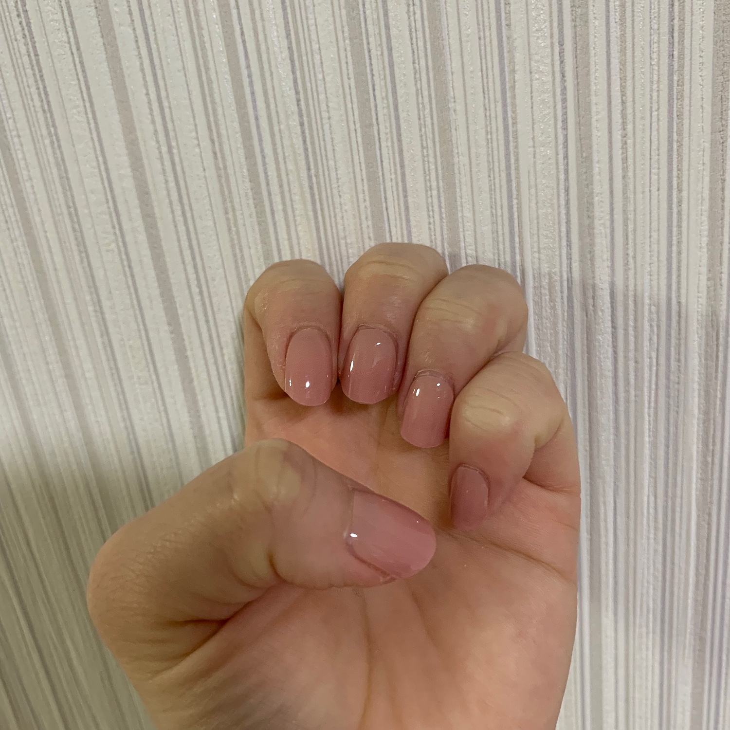 楽天市場】【公式】ランプフリーセット：SET-001 ohora gelnails nail