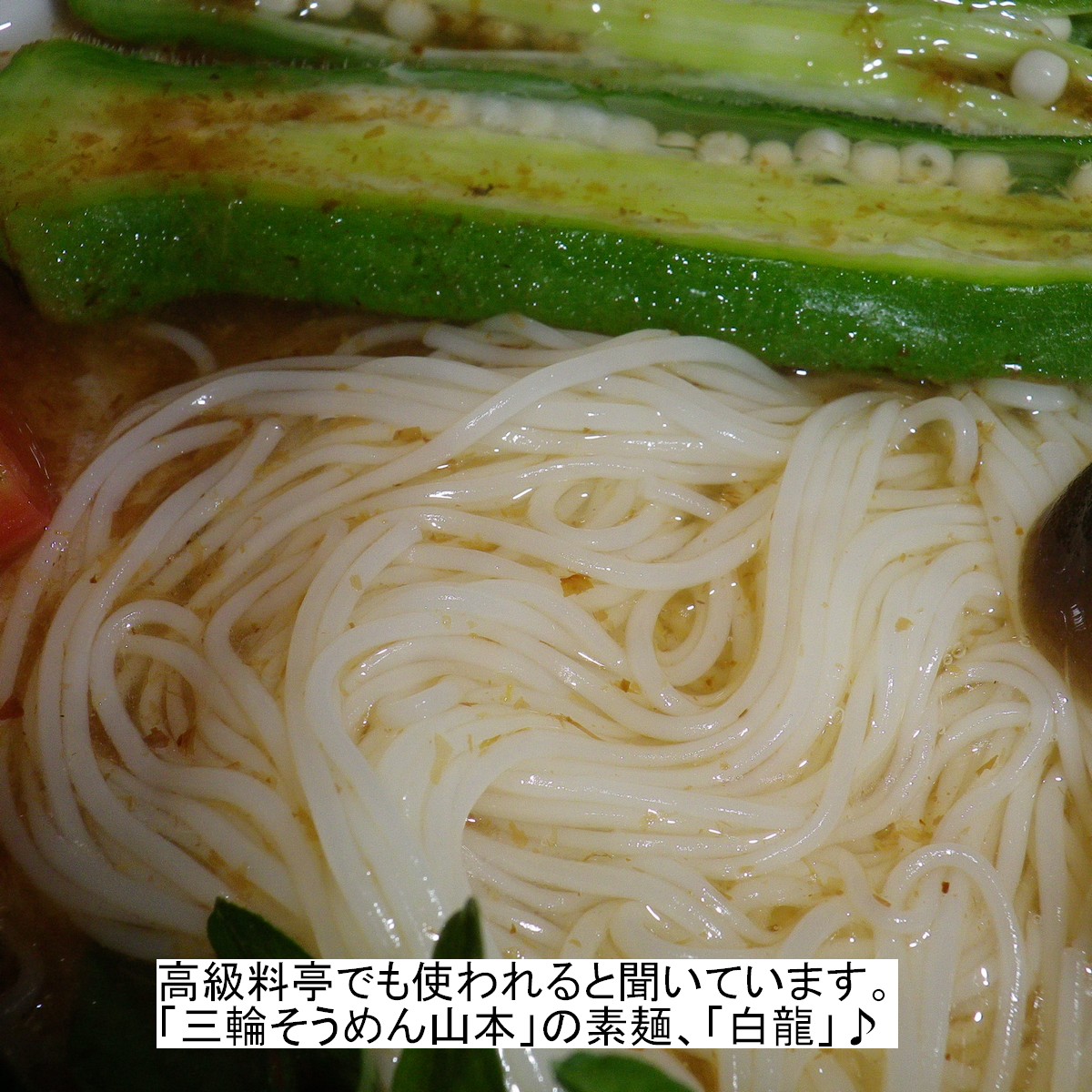 三輪山本 三輪そうめん 白龍 にゅうめん 受賞店 - その他 加工食品