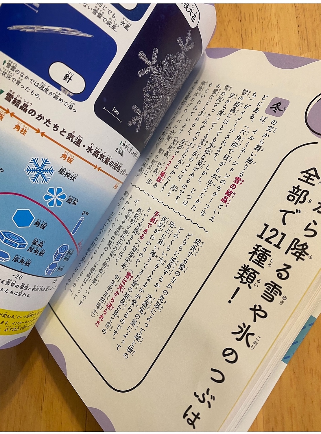 楽天市場 空のふしぎがすべてわかる すごすぎる天気の図鑑 荒木 健太郎 楽天ブックス みんなのレビュー 口コミ