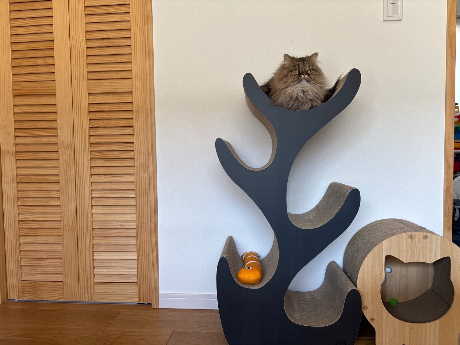 楽天市場】猫壱公式限定 キャットツリー レギュラー キャットタワー
