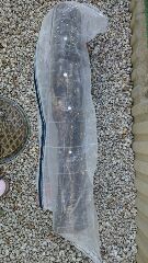 楽天市場 キノコ害虫防除ネット 原木栽培用ナメクジ防除ネット メール便 原木栽培 害虫防除 ナメクジ防除 大切なキノコたかる虫をシャットアウト 森のきのこ倶楽部 みんなのレビュー 口コミ