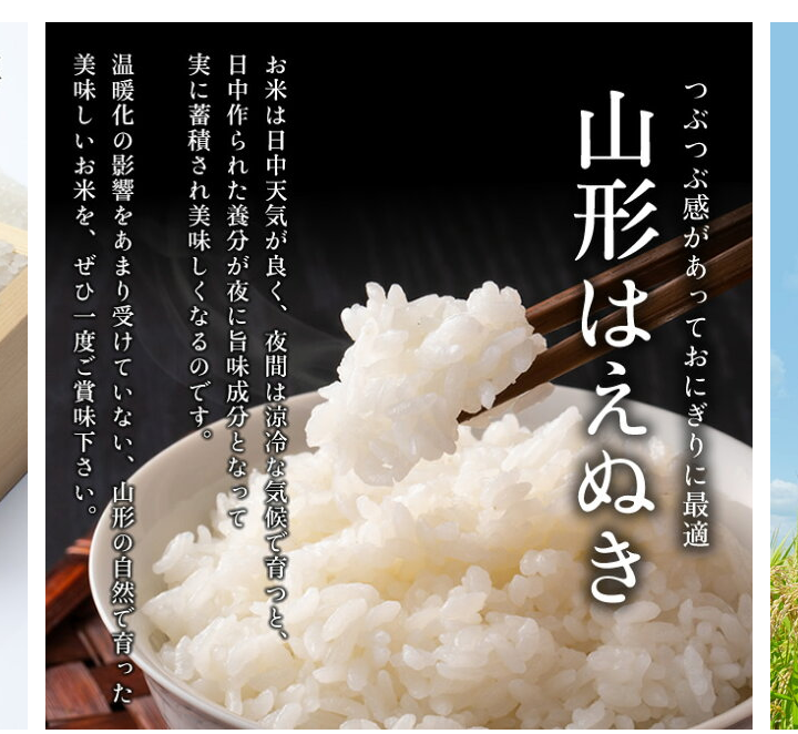 楽天市場】【送料無料】令和6年産 山形県産 はえぬき 白米10kg