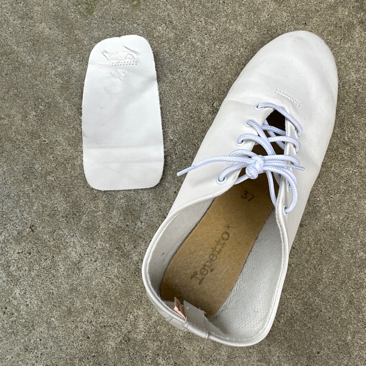 楽天市場】レペット repetto ジャズ バレエシューズ レース