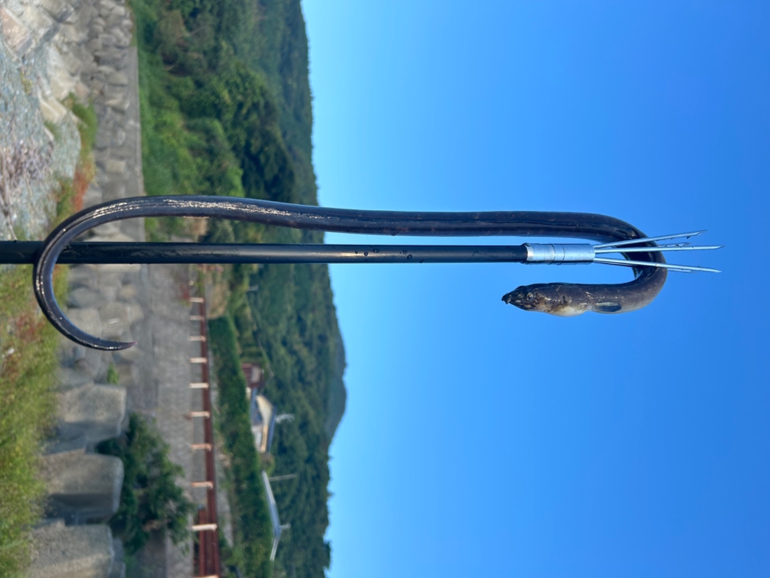 購入者レビュー写真