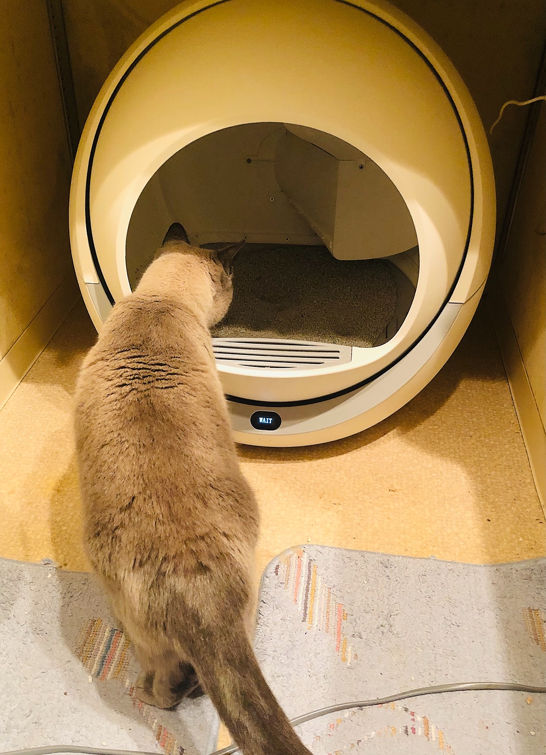 【好評大得価】petree 全自動猫トイレ トイレ用品