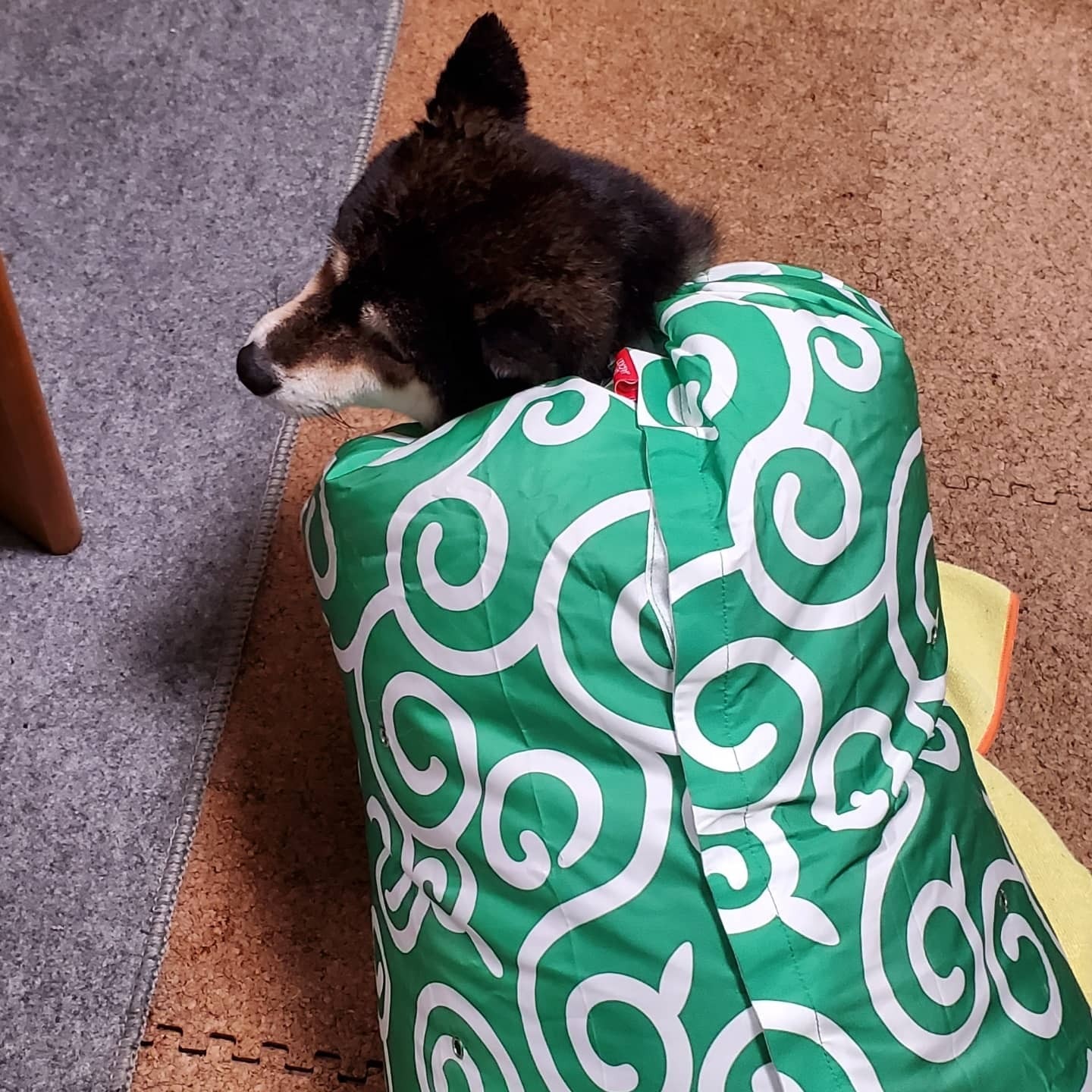 楽天市場 Mサイズ 唐草模様 ドライハンバン ペット用ドライジャケット ペット用 ドライヤー 乾燥 犬 猫 ペット用品 ペットグッズ お手入れ シャンプー お風呂 時短 楽々 緑 えんじ 輸入雑貨のたままつ楽天市場店 みんなのレビュー 口コミ 楽天市場 Mサイズ 唐草模様 ドライハンバン ペット用ドライジャケット ペット用 ドライヤー 乾燥 犬 猫 ペット用品 ペットグッズ お手入れ シャンプー お風呂 時短 楽々 緑 えんじ 輸入雑貨のたままつ楽天市場店 みんなのレビュー 口コミ