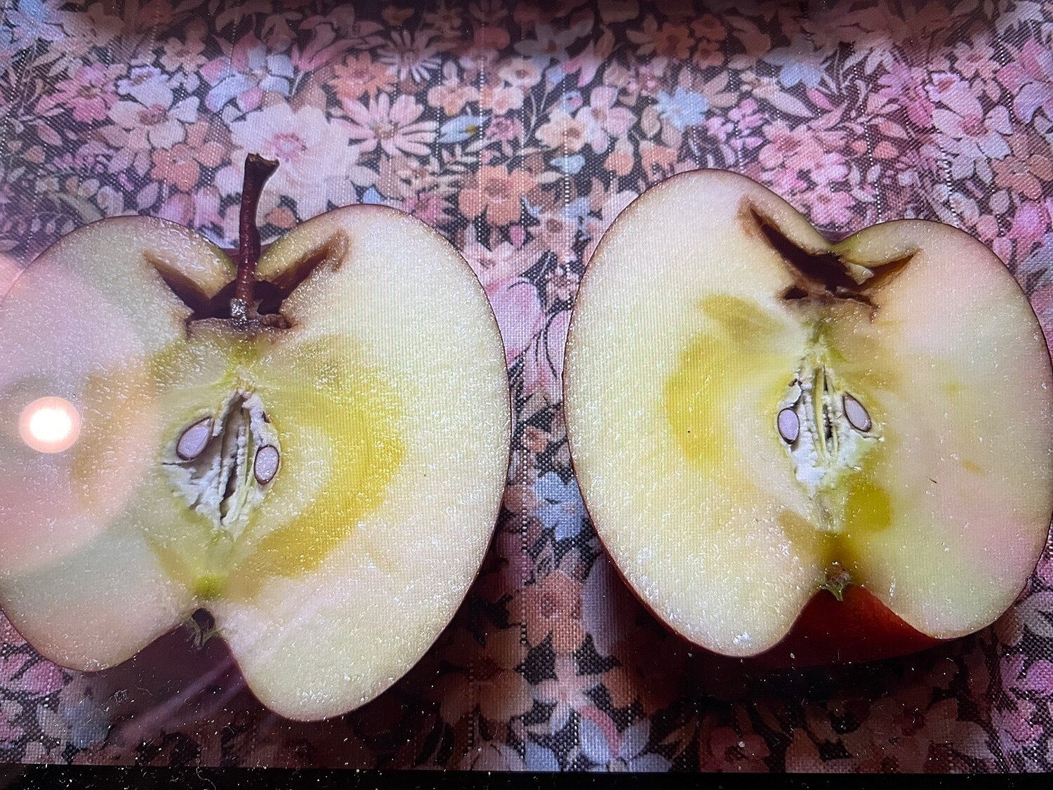 ★グルメ大賞7度受賞 高糖度サンふじ家庭用10キロ常温便送料無料 青森りんご サンふじ りんご通販 レビュー画像20