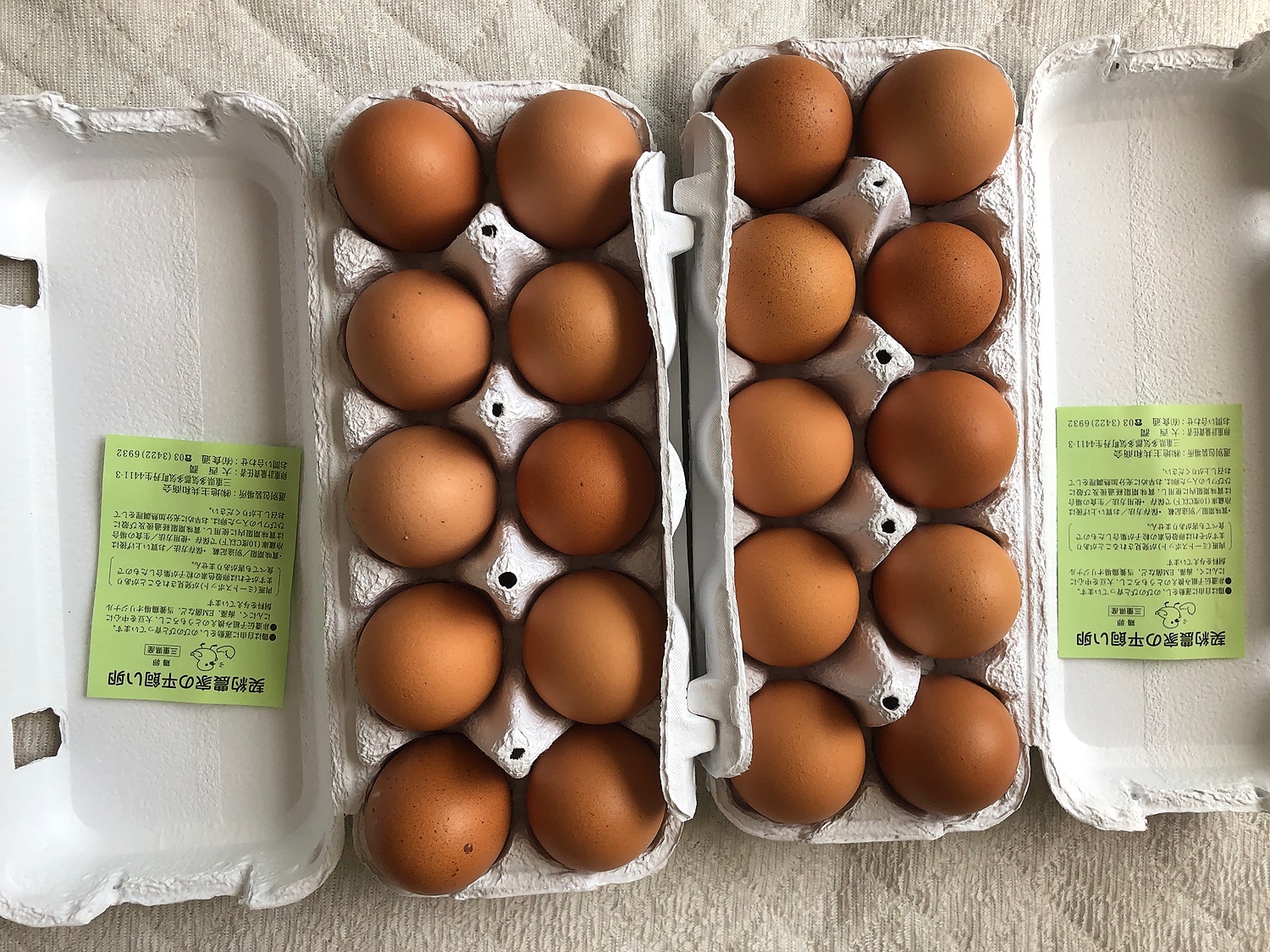 リバーシブルタイプ 平飼い卵50個7/10常温発送 - 通販