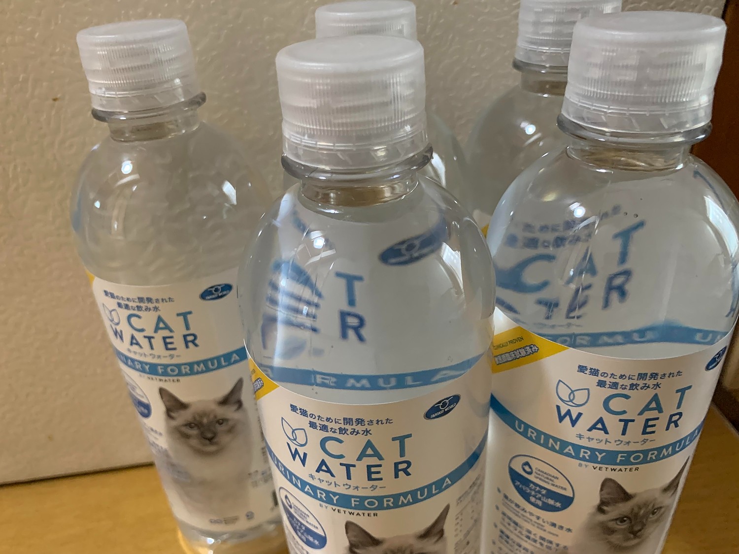 楽天市場】PH バランス キャット ウォーター 500ml CAT WATER 猫 水 ペット 天然水 水分補給【レビューを書いてプレゼント】(Fantasy  World) | みんなのレビュー・口コミ