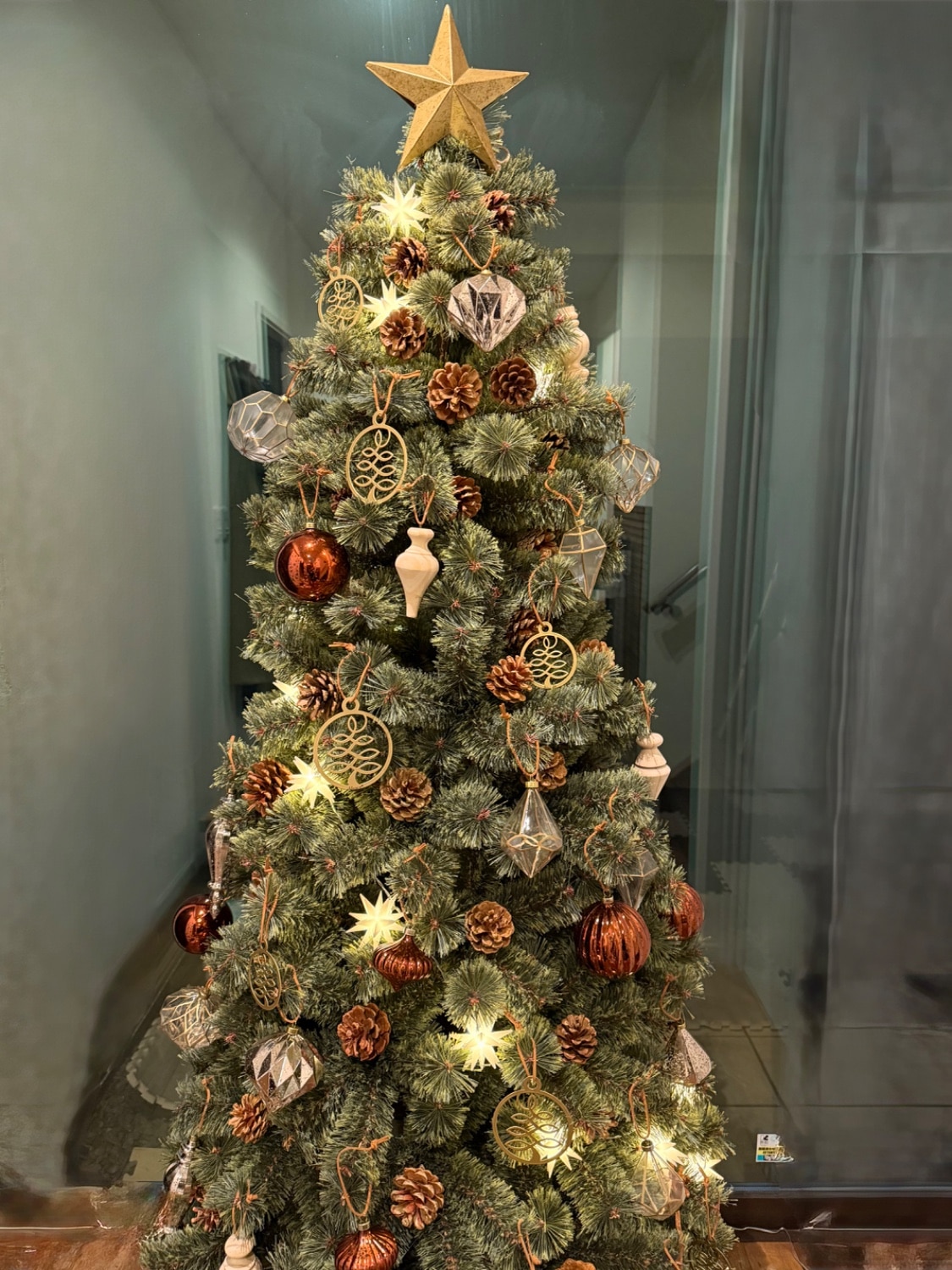 楽天市場】キャンセル分の開放【公式 Alsace(R) 正規品】クリスマス