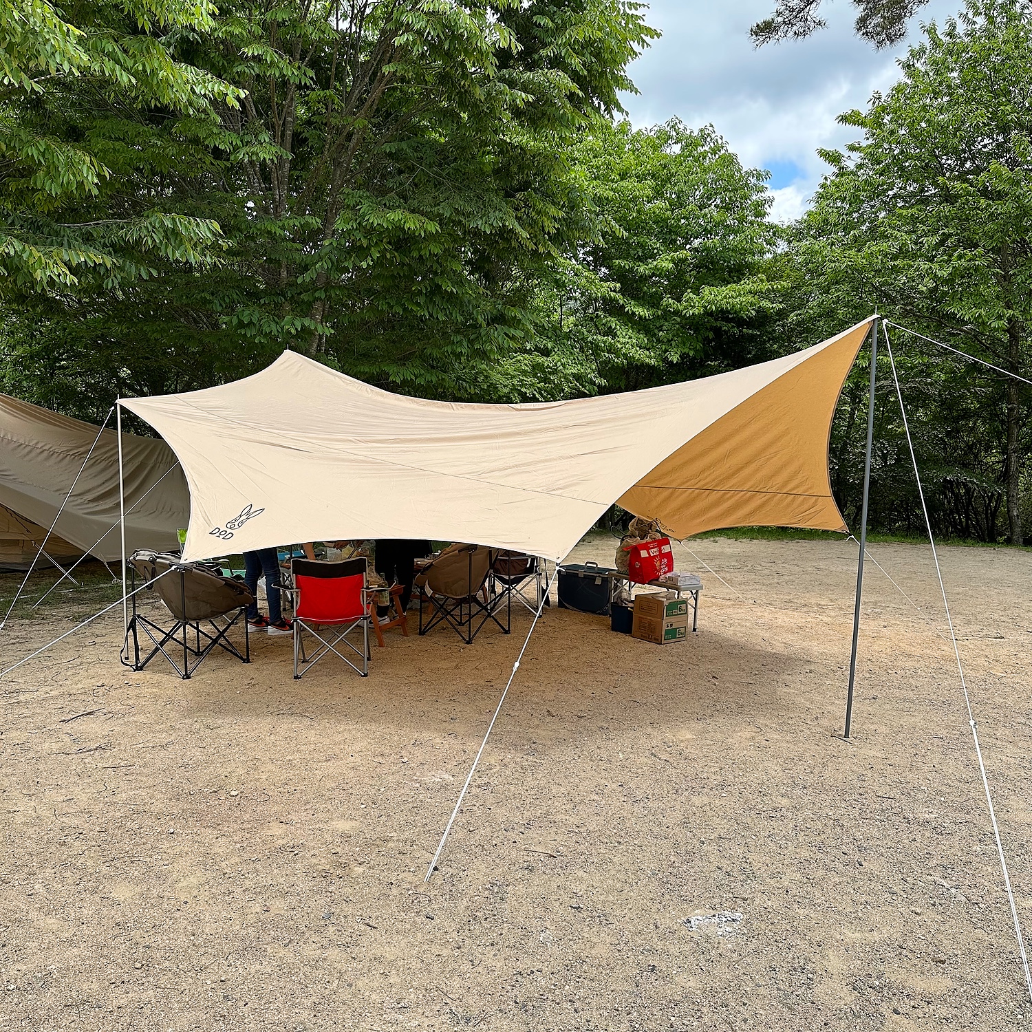 【新品未使用】OKRA TARP オクラタープ TT8-583-TN タン オクラタープ（タン）TT8-583-TN - DOD（ディーオーディー
