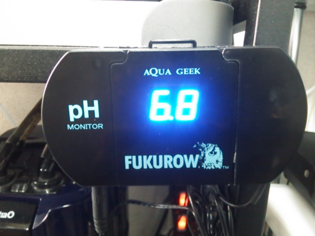 楽天市場】常時表示される青いLEDはAQUAGEEKの特注品 pHモニター FUKUROWII 淡水海水両用 関東当日便(charm 楽天市場店) |  みんなのレビュー·口コミ