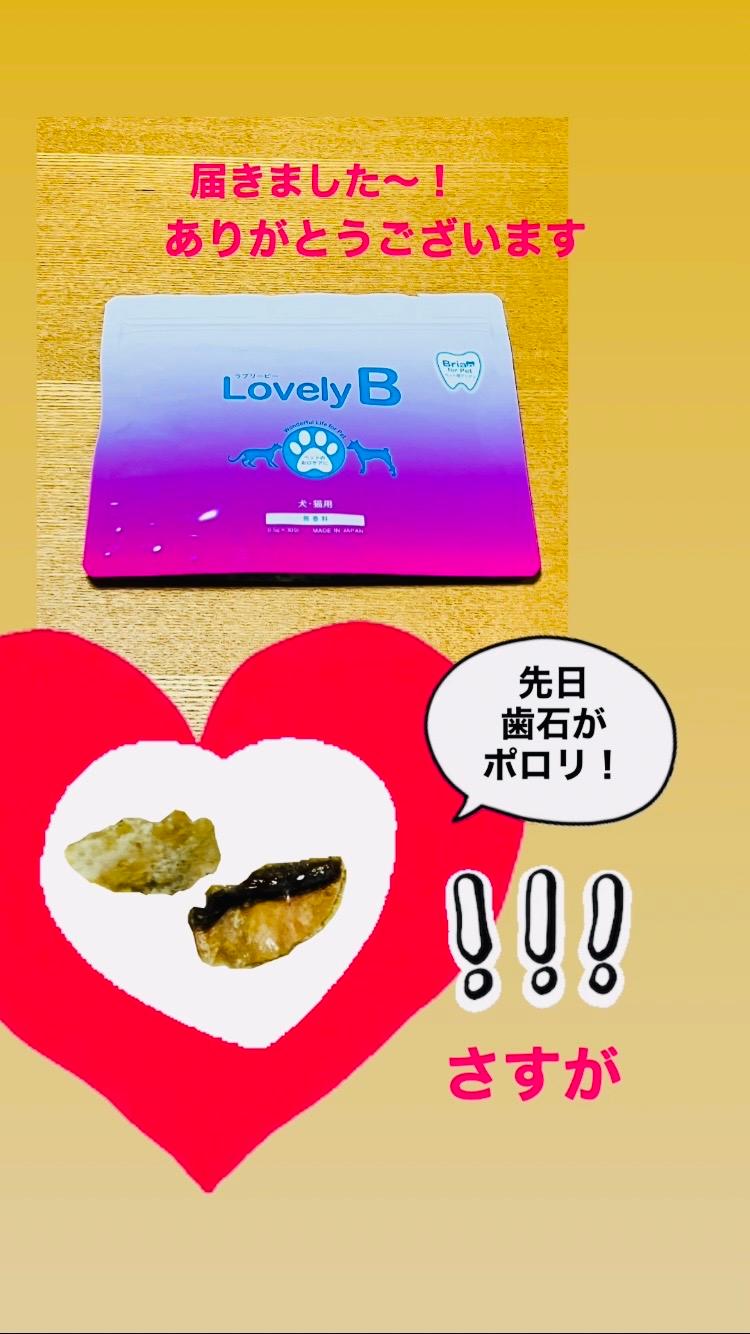 楽天市場】ラブリービー Lovely B 15 g（0.5 g×30包）犬・猫用 口腔
