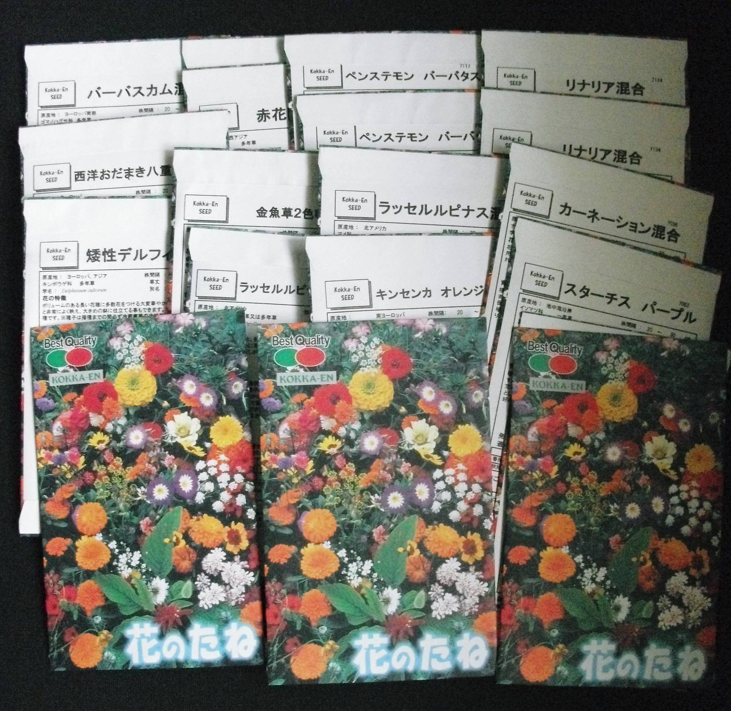 から厳選した アスター 種 多年草 アルペンアスター ピンキー 1袋 100粒 アスターの種 アスターの花 エゾギク 蝦夷菊 花たね 花の種 種子 タネ 国華園 から厳選した アスター 種 多年草 アルペンアスター ピンキー 1袋 100粒 アスターの種 アスターの花 エゾギク 蝦夷菊 花たね 花の種 種子 タネ 国華園