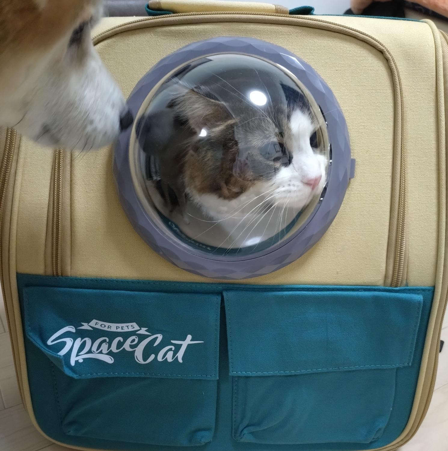ペットキャリーリュック 宇宙船キャリー 猫キャリーバッグ レビュー画像1