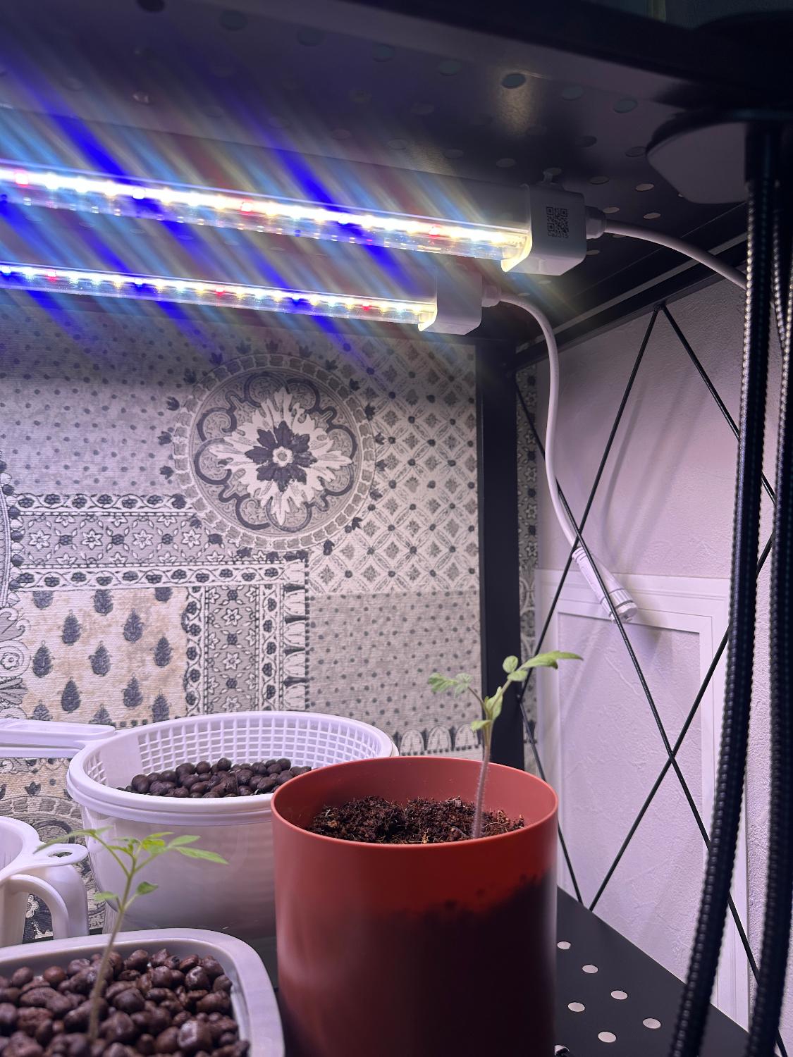 楽天市場】HaruDesign 植物育成ライト GL-T5 L530 18Wx2本 サムスン