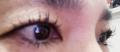 ֡¨Ǽۥե륨󥵡仿 ޤĤեեŹĹɾ͵ޤĤƱաѥåפȴץץޤĤƱ ߤ͵NEWСӡå Barbie Lash /3.5ml Хå尦Ѥˤ͵(å)פξʥӥ塼ܺ٤򸫤