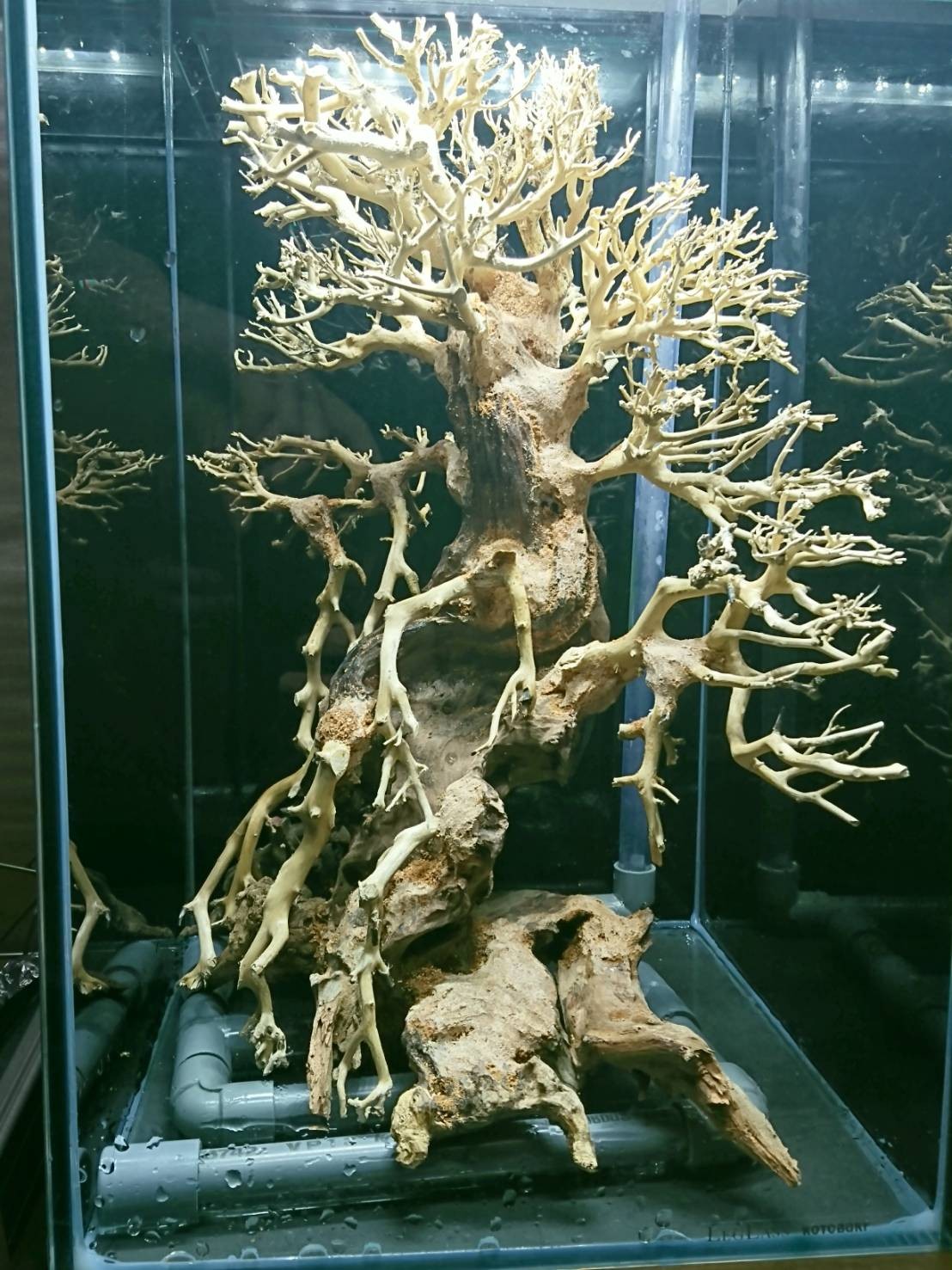 盆栽流木　人工　アクアリウム 楽天市場】【送料無料・お買い得】盆栽流木 中型直幹（水槽専用